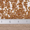 MIYUKI Delica Beads SEED-J020-DB1734-4