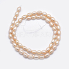 Natural Cultured Freshwater Pearl Beads Strands PEAR-F007-76-01-3
