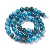 Natural Apatite Beads Strands G-F617-01-8mm-2