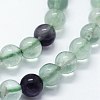 Natural Fluorite Beads Strands G-I199-12-8mm-3