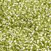 Glass Seed Beads SEED-S042-04B-24-3