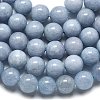Natural Malaysia Jade Beads Strands G-L645-A01-10mm-11-4