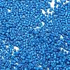 Baking Paint Glass Seed Beads X-SEED-S042-05B-76-3