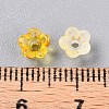 Frosted Transparent Acrylic Beads X-OACR-N137-72G-4