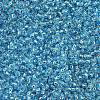 MIYUKI Round Rocailles Beads X-SEED-G007-RR2429-3