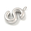 Non-Tarnish 304 Stainless Steel Pendants STAS-C102-15P-S-2