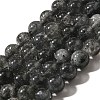 Natural Biotite Beads Strands G-F784-A03-03-1