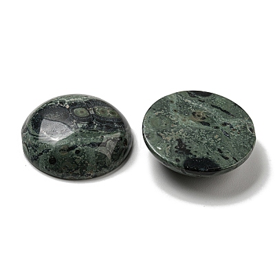 Natural Kambaba Jasper Cabochons G-C115-02B-24-1