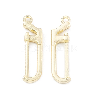 Alloy Pendants PALLOY-K003-20LG-1