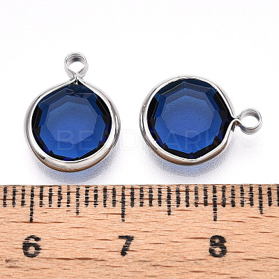 K9 Glass Charms GLAA-T023-37B-06-1