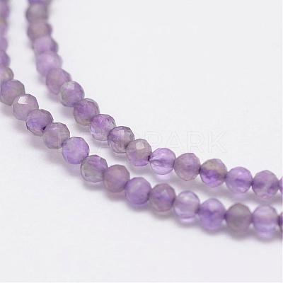 Natural Amethyst Beads Strands G-E347-09-1