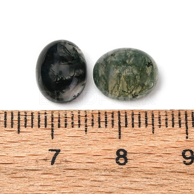 Natural Moss Agate Cabochons G-H314-01-1