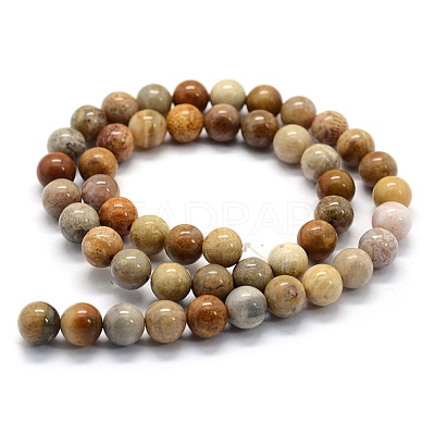 Natural Fossil Coral Beads Strands G-G763-12-4mm-1