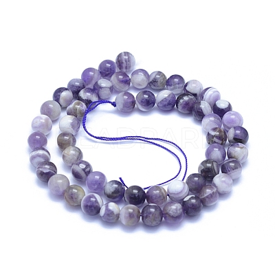 Natural Amethyst Beads Strands X-G-L552H-03B-1