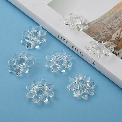 Transparent Acrylic Beads X-TACR-491-01-1