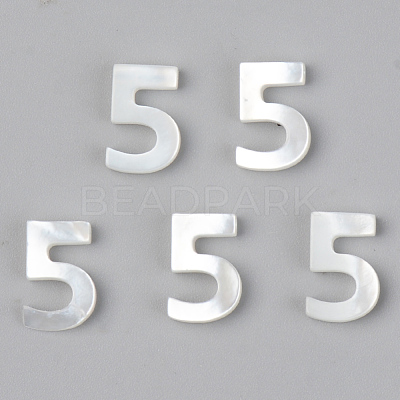 Natural White Shell Mother of Pearl Shell Charms SSHEL-R048-004-05-1