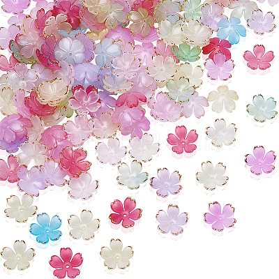 3 Bags Acrylic Bead Caps DIY-ME0001-91-1