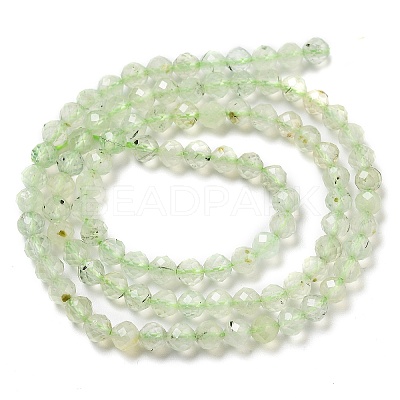 Natural Prehnite Beads Strands G-G161-A13-03-1