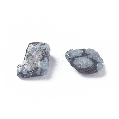 Natural Snowflake Obsidian Chips X-G-D0004-01-1