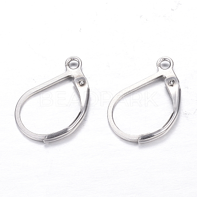 Tarnish Resistant 304 Stainless Steel Leverback Earring Findings STAS-M217-03-1