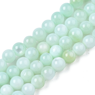 Natural Freshwater Shell Beads Strands X-BSHE-T009A-01D-1