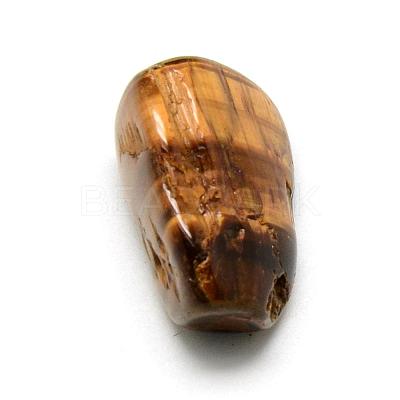 Natural Tiger Eye Gemstone Beads G-S218-20-1