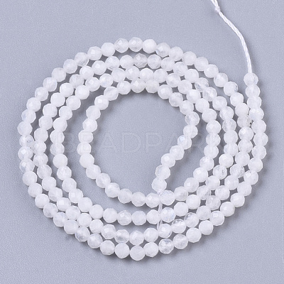 Natural Rainbow Moonstone Beads Strands G-R462-032A-1