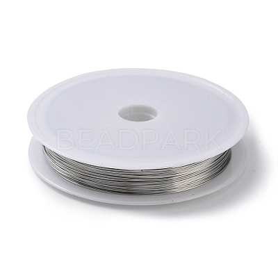 Non-Tarnish 10 Rolls 304 Stainless Steel Wire TWIR-H001-01F-P-1