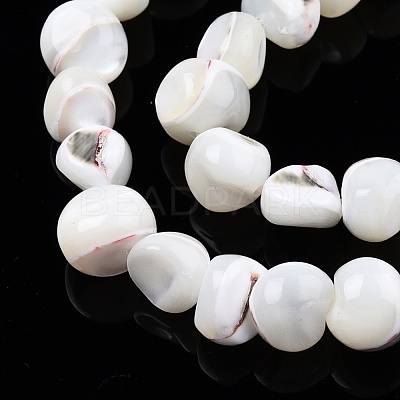 Natural Trochid Shell/Trochus Shell Beads Strands SSHEL-N032-48-1