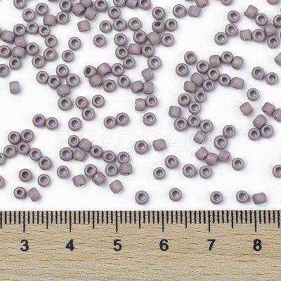TOHO 8/0 Round Beads SEED-XTR08-0412F-1