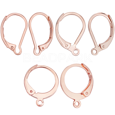 60Pcs 3 Styles 304 Stainless Steel Leverback Earring Findings STAS-BBC0008-30A-1