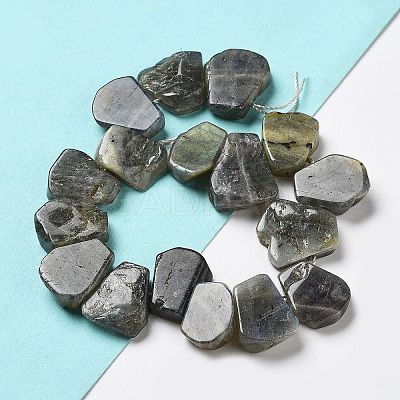 Natural Labradorite Beads Strands G-P528-K10-01-1