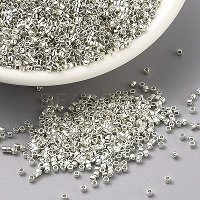 MIYUKI Delica Beads SEED-J020-DB0035-1