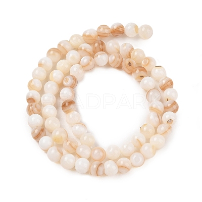 Natural Freshwater Shell Beads Strands SHEL-T011-02-6mm-1