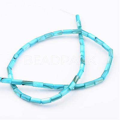 Natural Shell Bead Strands BSHE-P016-M-1