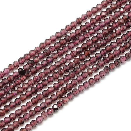 Natural Garnet Beads Strands G-S152-03-2mm-1