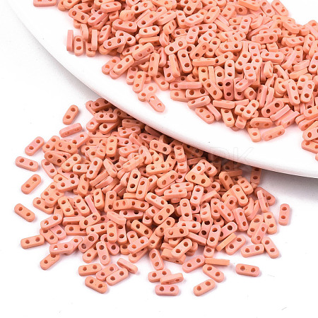 FGB 2-Hole Glass Seed Beads X-SEED-S031-S-SQ50FR-1