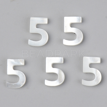 Natural White Shell Mother of Pearl Shell Charms SSHEL-R048-004-05-1
