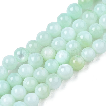Natural Freshwater Shell Beads Strands X-BSHE-T009A-01D-1