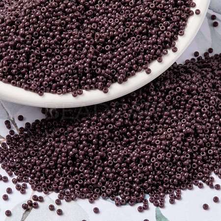 MIYUKI Round Rocailles Beads SEED-G009-RR0497-1