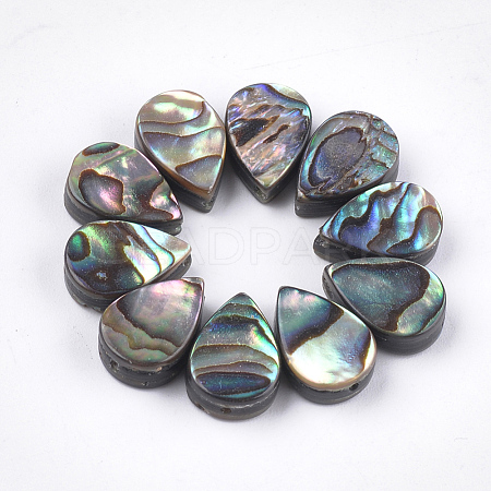 Abalone Shell/Paua Shell Beads SSHEL-T008-08-1