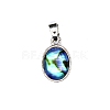 Natural Abalone Shell Charms PW-WG4179D-02-1