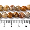 Natural Crazy Agate Beads Strands G-T047-A02-03-5