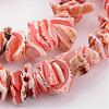 Natural Shell Bead Strands BSHE-P010-03-3