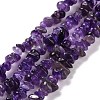 Natural Amethyst Chip Bead Strands G-M205-58-1