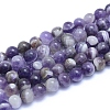 Natural Amethyst Beads Strands X-G-L552H-03B-1