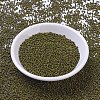 MIYUKI Round Rocailles Beads SEED-G010-RR4519-2
