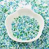 Baking Paint Glass Seed Beads SEED-S042-05B-52-2