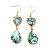 Brass Natural Abalone Shell Dangle Earrings EJEW-F388-01D-G-4