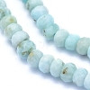 Natural Larimar Beads Strands G-I279-D01-02-3